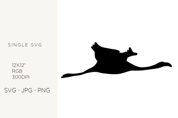 Elevate Designs with Flamingo Silhouettes