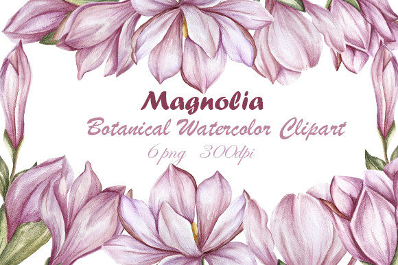 Elevate Designs with Watercolor Magnolia
